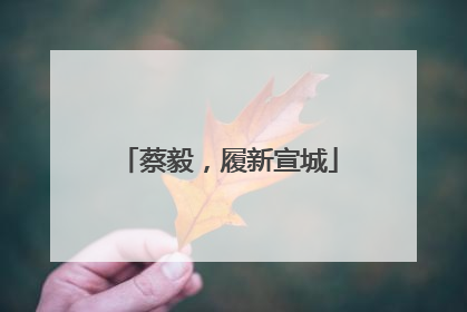 蔡毅，履新宣城