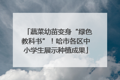 蔬菜幼苗变身“绿色教科书”！哈市各区中小学生展示种植成果