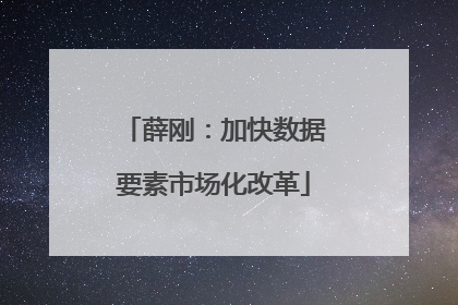 薛刚：加快数据要素市场化改革