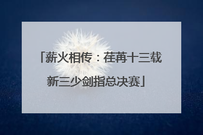 薪火相传：荏苒十三载 新三少剑指总决赛