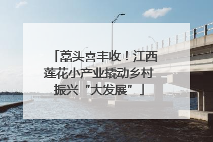藠头喜丰收！江西莲花小产业撬动乡村振兴“大发展”