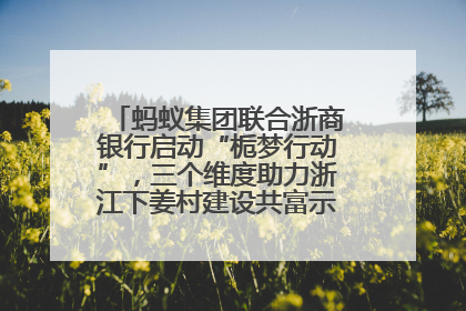蚂蚁集团联合浙商银行启动“栀梦行动”，三个维度助力浙江下姜村建设共富示范区示范点