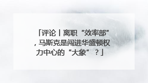 评论丨离职“效率部”，马斯克是闯进华盛顿权力中心的“大象”？