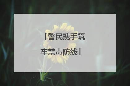 警民携手筑牢禁毒防线