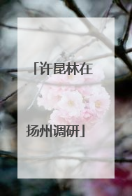 许昆林在扬州调研