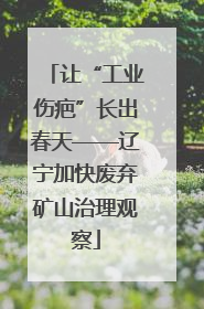 让“工业伤疤”长出春天——辽宁加快废弃矿山治理观察