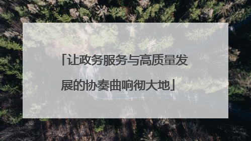 让政务服务与高质量发展的协奏曲响彻大地