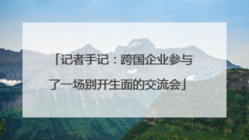 记者手记：跨国企业参与了一场别开生面的交流会