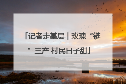 记者走基层｜玫瑰“链”三产 村民日子甜