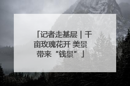 记者走基层｜千亩玫瑰花开 美景带来“钱景”