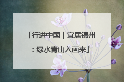 行进中国｜宜居锦州：绿水青山入画来