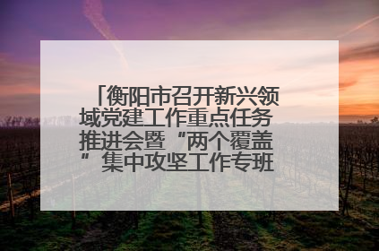衡阳市召开新兴领域党建工作重点任务推进会暨“两个覆盖”集中攻坚工作专班 第一次会议