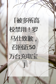 被多所高校禁用！罗马仕致歉，召回近50万台充电宝