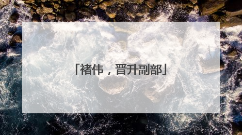 褚伟，晋升副部