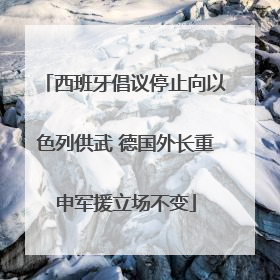 西班牙倡议停止向以色列供武 德国外长重申军援立场不变