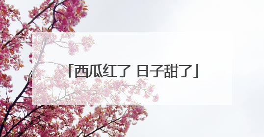 西瓜红了 日子甜了