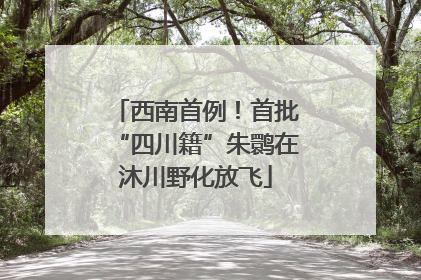 西南首例！首批“四川籍”朱鹮在沐川野化放飞