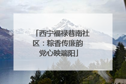 西宁福禄巷南社区：粽香传廉韵 党心映端阳