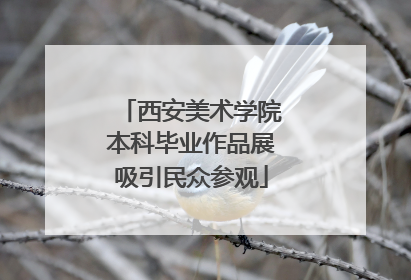 西安美术学院本科毕业作品展吸引民众参观