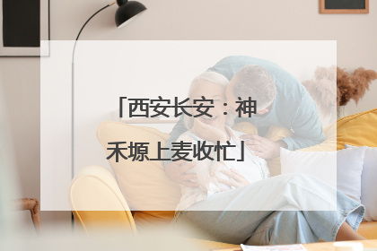 西安长安：神禾塬上麦收忙