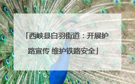 西峡县白羽街道：开展护路宣传 维护铁路安全