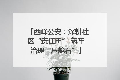西峰公安：深耕社区“责任田” 筑牢治理“压舱石”