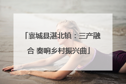 襄城县湛北镇：三产融合 奏响乡村振兴曲