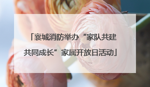 襄城消防举办“家队共建 共同成长”家属开放日活动