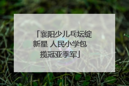 襄阳少儿乓坛绽新星 人民小学包揽冠亚季军