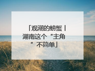 观潮的螃蟹丨湖南这个“主角”不简单
