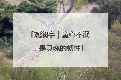 观澜亭｜童心不泯，是灵魂的韧性