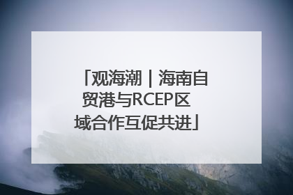 观海潮｜海南自贸港与RCEP区域合作互促共进