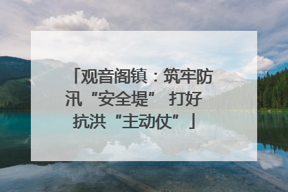 观音阁镇：筑牢防汛“安全堤” 打好抗洪“主动仗”