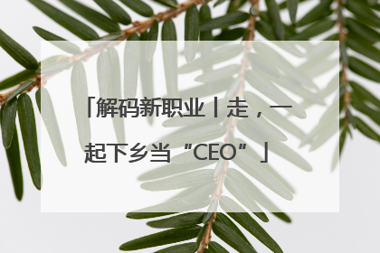 解码新职业丨走，一起下乡当“CEO”