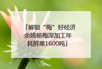 解锁“梅”好经济 余姚杨梅深加工年耗鲜果1600吨