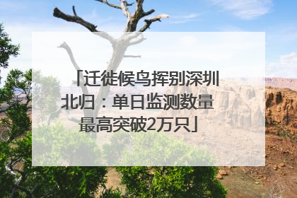 迁徙候鸟挥别深圳北归：单日监测数量最高突破2万只