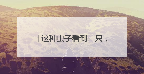 这种虫子看到一只，说明你家里已有很多只了！（不是蟑螂）