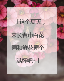 这个夏天，来长春市百花园和鲜花撞个满怀吧~