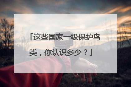 这些国家一级保护鸟类，你认识多少？