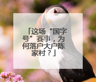 这场“国字号”赛事，为何落户大户陈家村？