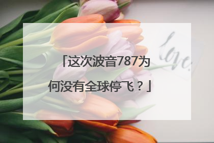 这次波音787为何没有全球停飞？