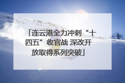连云港全力冲刺“十四五”收官战 深改开放取得系列突破