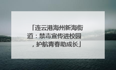 连云港海州新海街道：禁毒宣传进校园，护航青春助成长