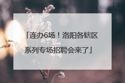 连办6场！洛阳各辖区系列专场招聘会来了