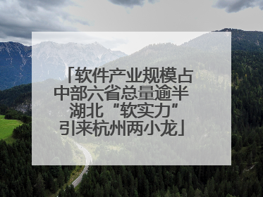 软件产业规模占中部六省总量逾半 湖北“软实力”引来杭州两小龙