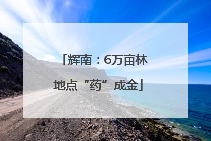 辉南：6万亩林地点“药”成金