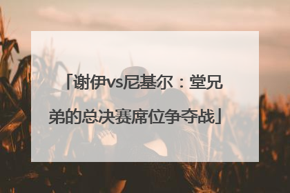 谢伊vs尼基尔：堂兄弟的总决赛席位争夺战