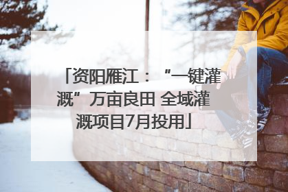 资阳雁江：“一键灌溉”万亩良田 全域灌溉项目7月投用