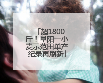 超1800斤！阜阳一小麦示范田单产纪录再刷新
