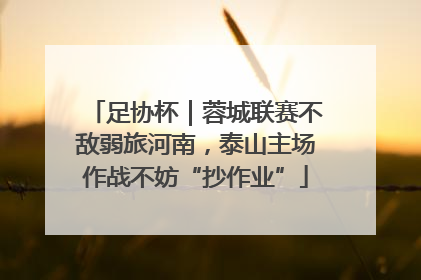 足协杯｜蓉城联赛不敌弱旅河南，泰山主场作战不妨“抄作业”